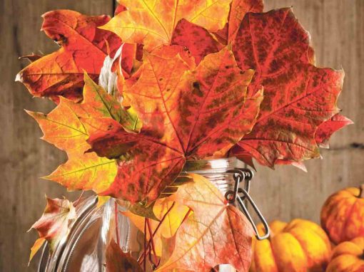 BRICIOLE D’AUTUNNO