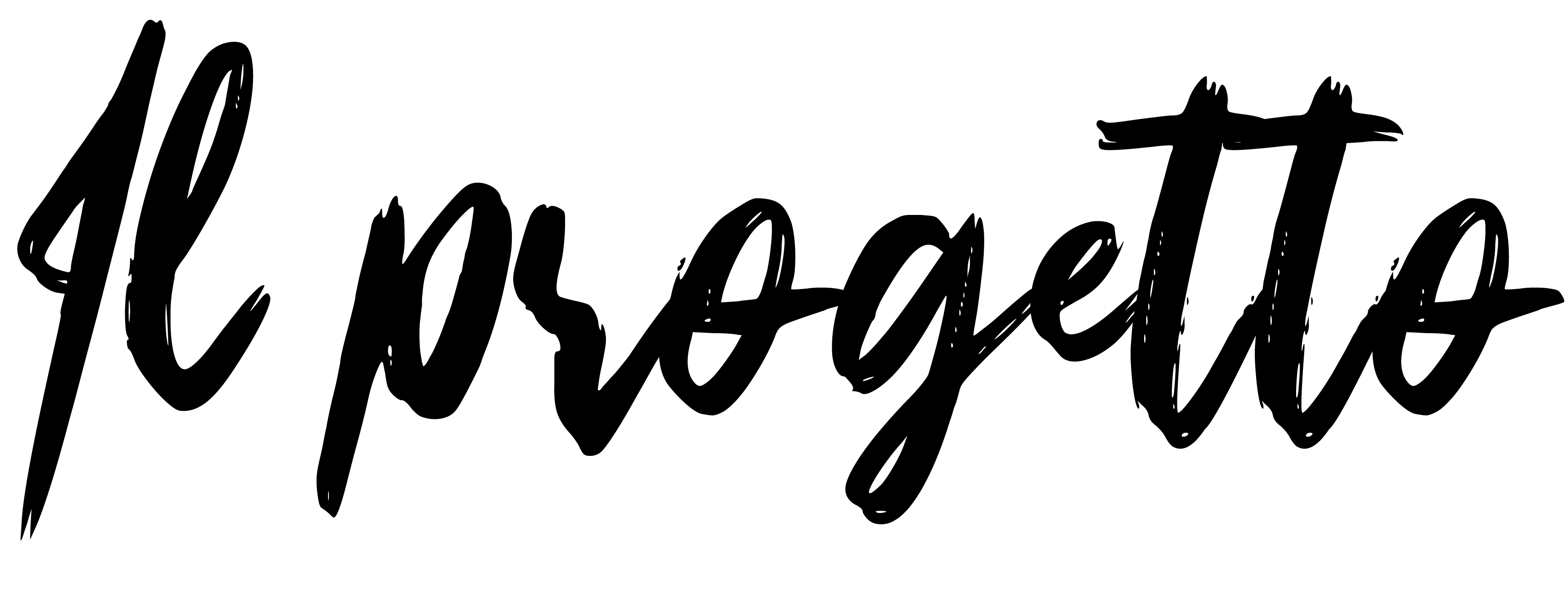 Il_progetto