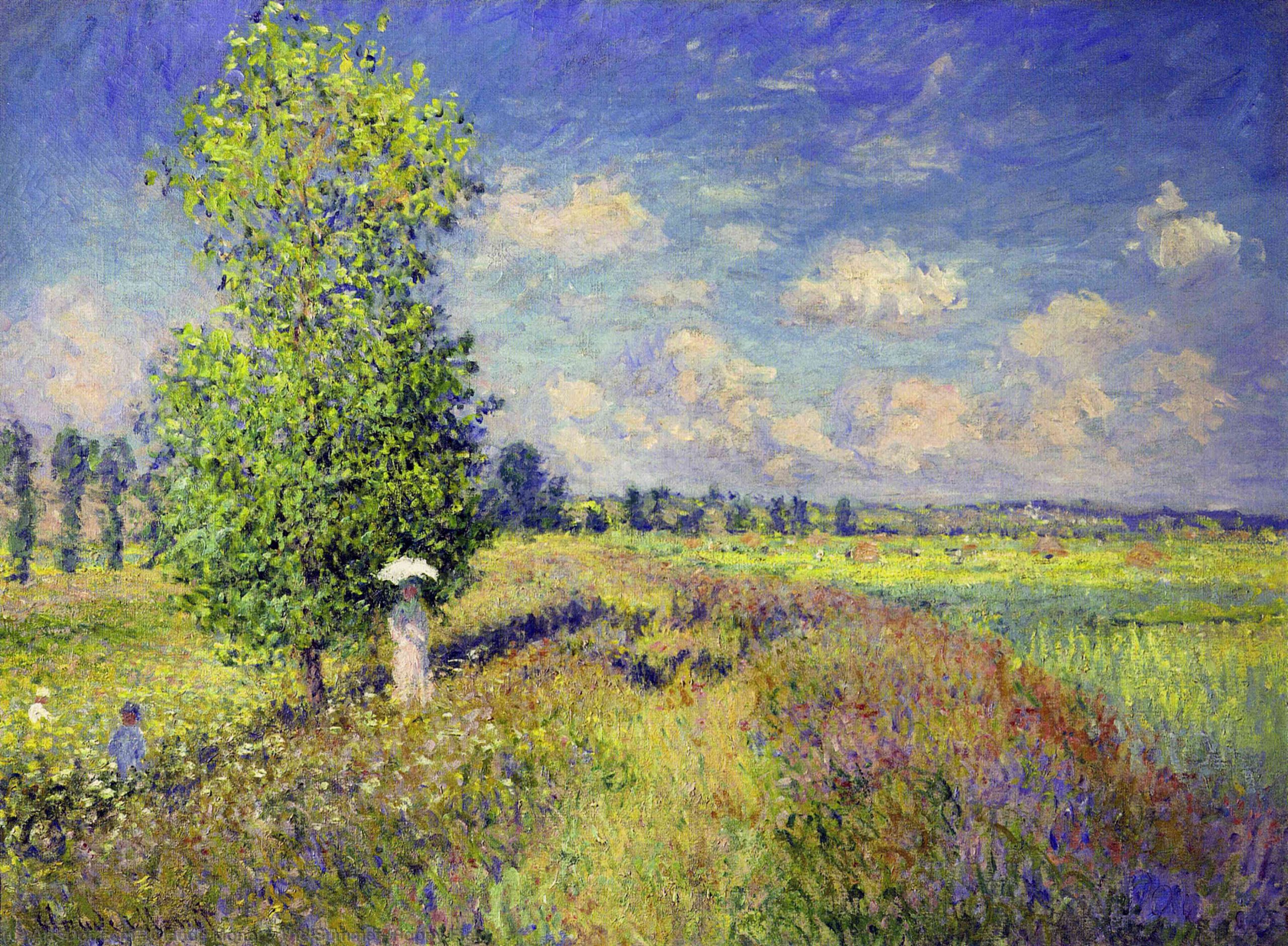 Claude-monet-the-summer-poppy-field