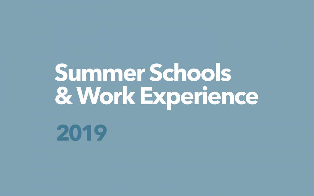 Protetto: DCG Summer Schools & Work Experience / 2019