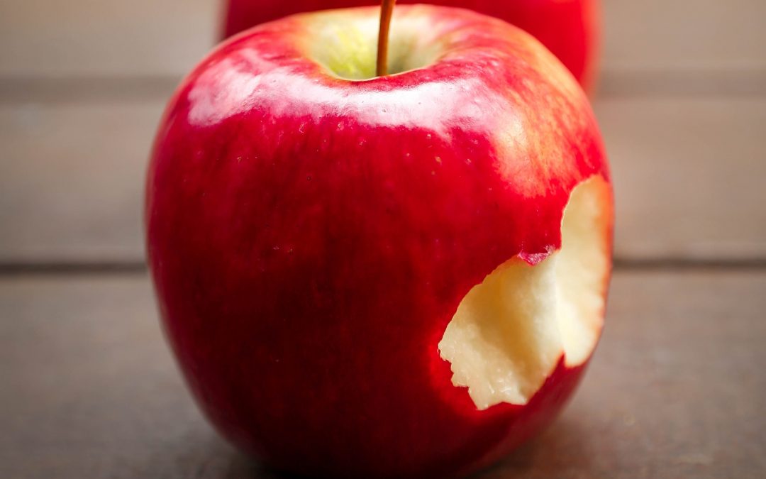 CONVEGNO / lo spreco alimentare: prevenzione e donazione