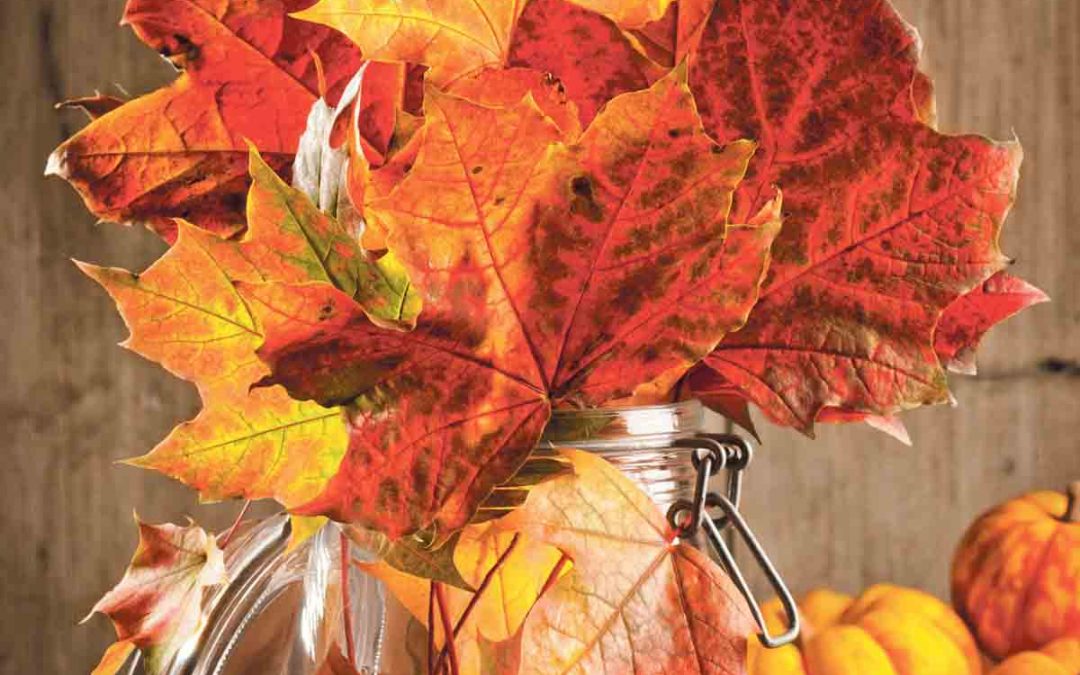 BRICIOLE D’AUTUNNO