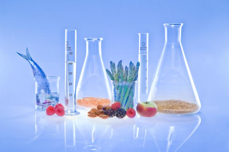 LABORATORIO SCIENTIFICO