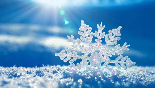 COLORI E PROFUMI D’INVERNO